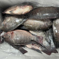 Tilapia-10kg Box