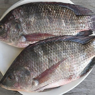 Whole gutted tilapia-5kg Pack