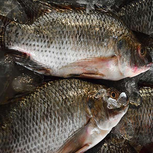 Whole gutted tilapia-5kg Pack